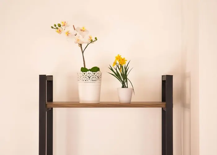 Apartment Engadin's Old Town Units - Free Parking *